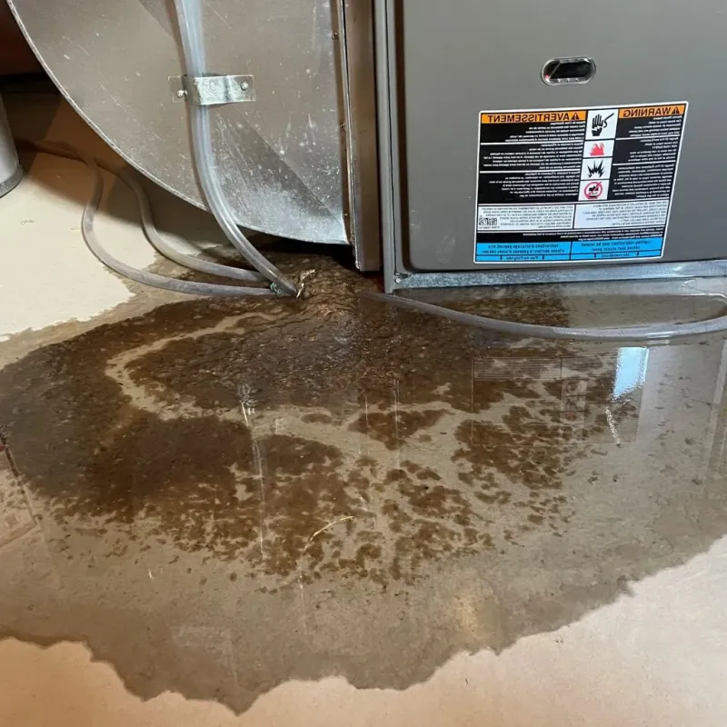 Pipe Burst and Leak Restoration in Indian Hills Cherokee Section, KY